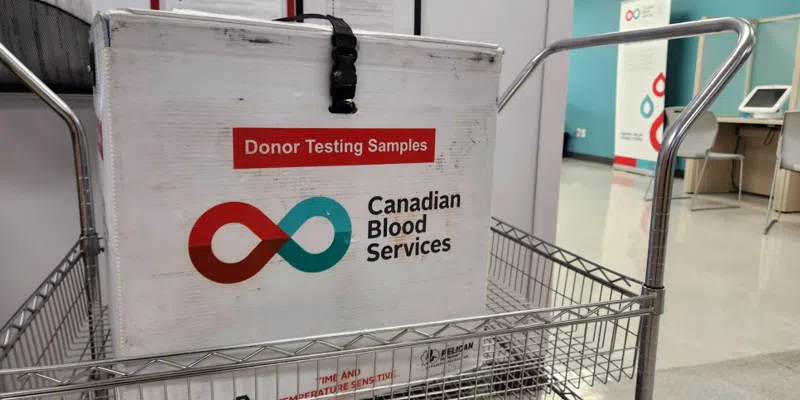 Canadian Blood Services Look for More Stem Cell Donations