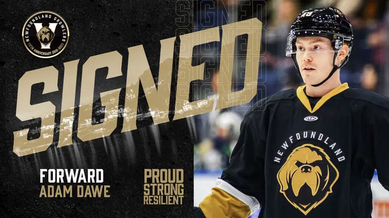 Growlers Sign Gander Native Adam Dawe