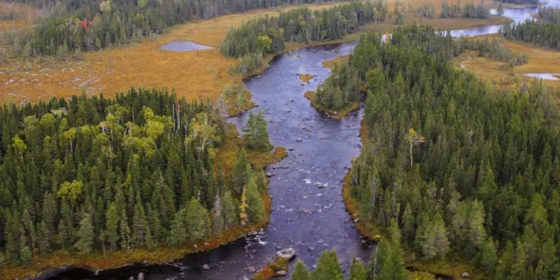 Public Meetings on Indian Arm Brook Protected Area to Take Place this Week in Lewisporte