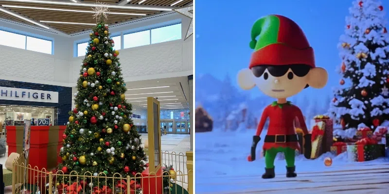 Happy Tree Merchandise Now Available Following the Retirement of Holiday Icon