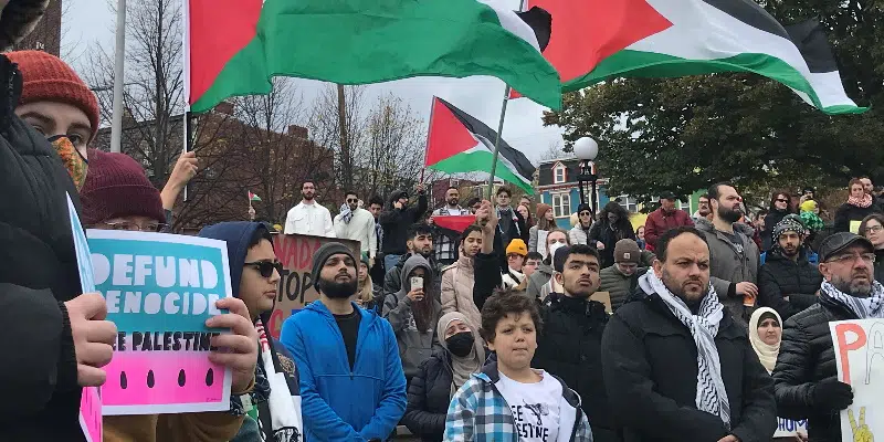 Hundreds Voice Support for Palestinians, Plead For Ceasefire in Gaza