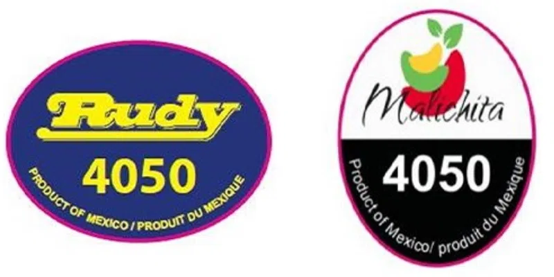 Cantaloupe Recall Expanded in Wake of Salmonella Outbreak