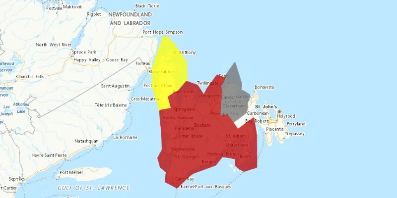 Weather Warnings Out for Much of Newfoundland