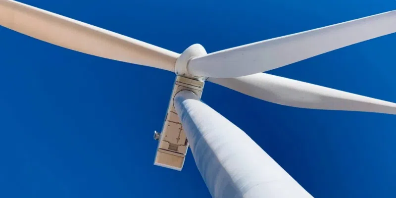 Environmental Transparency Committee Appeals Government Decision on West Coast Wind Project