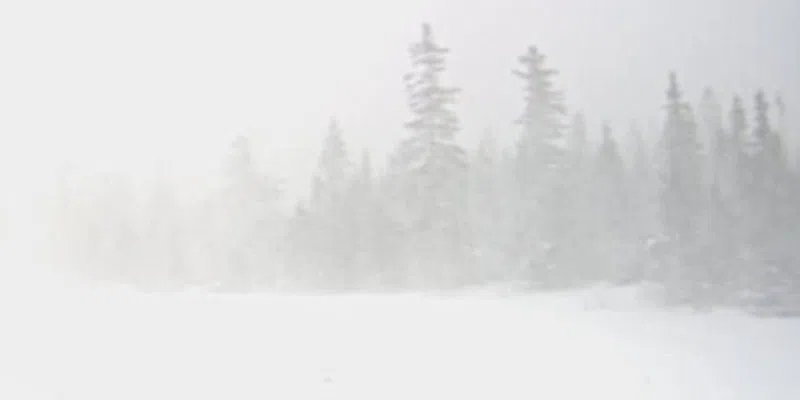 City of Corner Brook Asking Residents to Stay Off Roads as Intense Snowfall Hits West Coast
