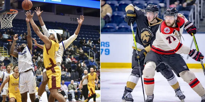 Growlers, Rogues Suffer Close Losses Friday Night