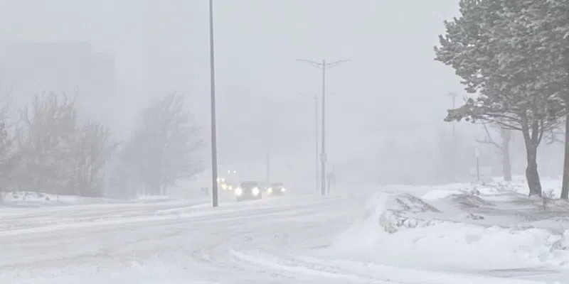 Parts of Metro Record Additional 30 cm During Sunday's Snowstorm