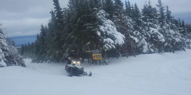 Portugal Cove-St. Philips Farmer Fed Up with Snowmobiles Cutting Across Farmland