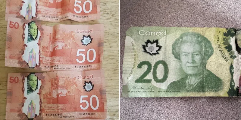 Several Businesses Across NL Detect Counterfeit Bills