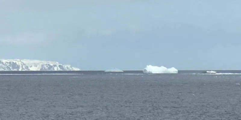 Early Iceberg Sightings Reported Off Coast of NL