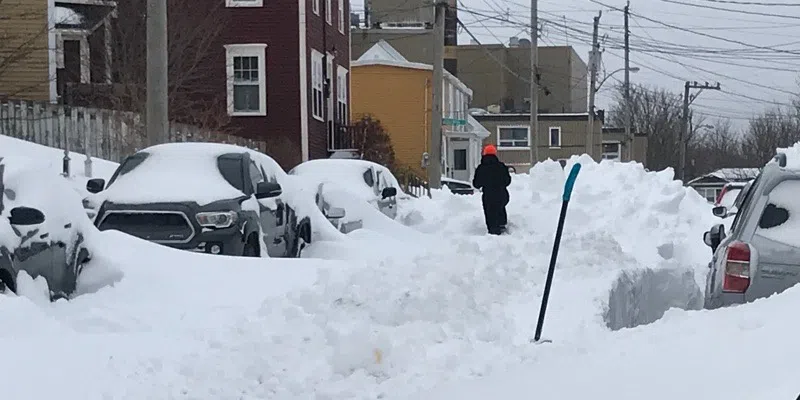 Snowfall Mercifully Ends on Avalon Peninsula -- For Now