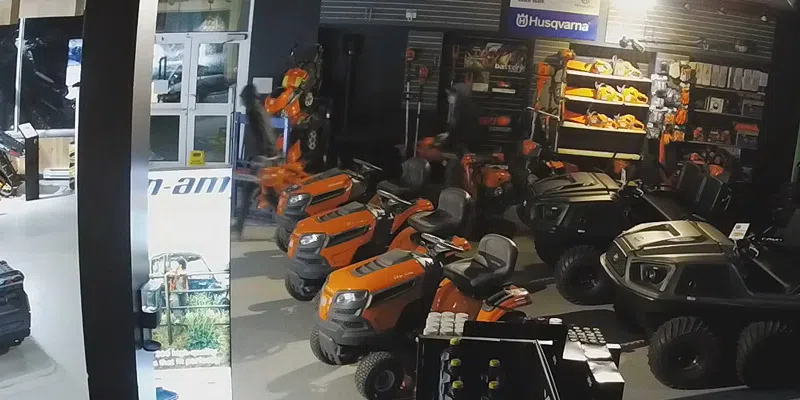 Police Release Footage of Grand Falls-Windsor Chainsaw Thieves
