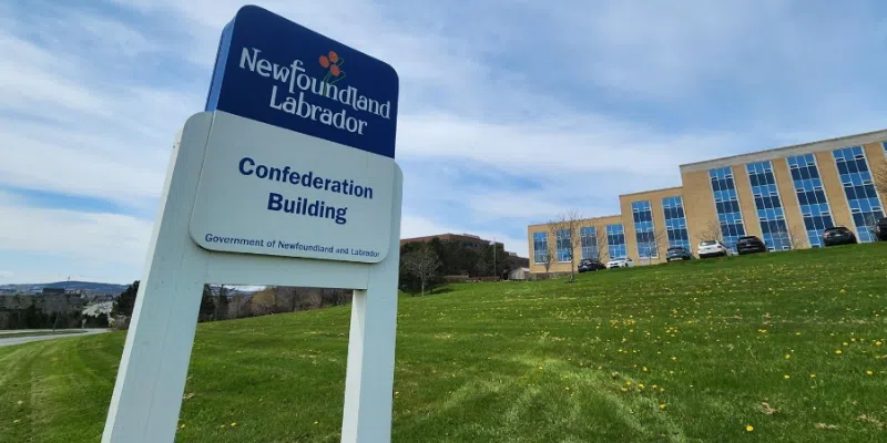 Province Confirms Case of Rabies in Hopedale Dog