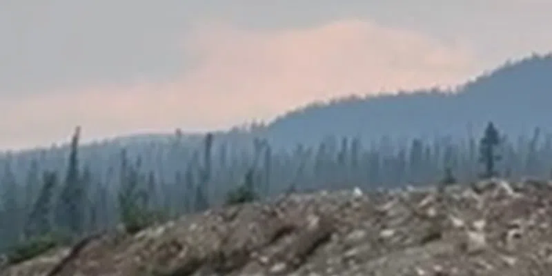 Province Reminding Public Not to Operate Drones Near Forest Fires