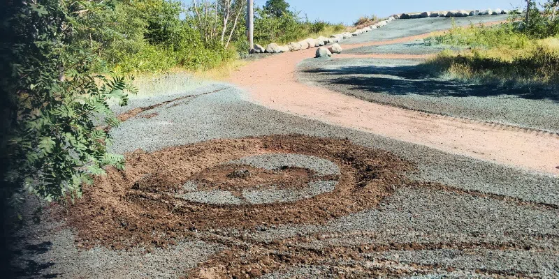 Dirt Bikes, ATVs Tear Up Significant Beothuck Site in Botwood