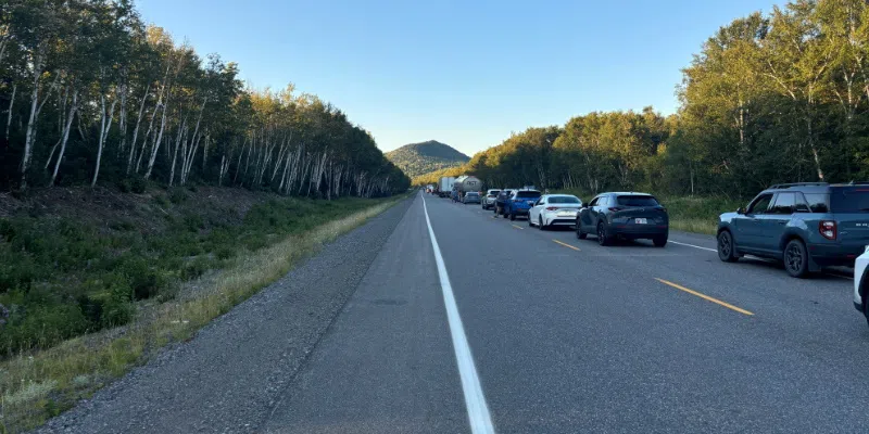 79-Year-Old Man Dead Following Collision Between SUV and Bicycle on TCH Near Kona Beach