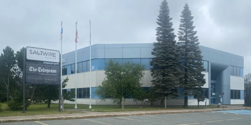 Dinn Cites Irony in Furey's 'Radio Silence' Amid Telegram Turmoil