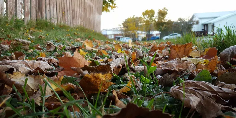 First Day of Fall Hits Newfoundland and Labrador