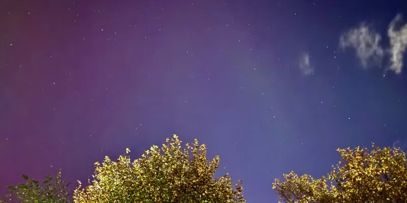 Northern Lights Paint Skies Over Newfoundland and Labrador