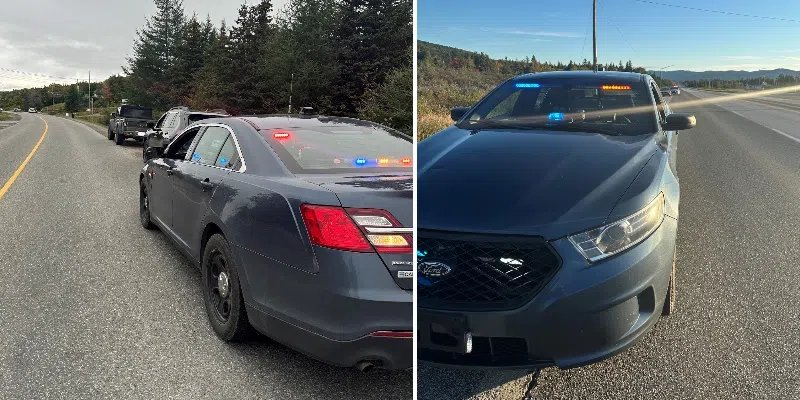 Police Issue Raft of Tickets in Western Newfoundland