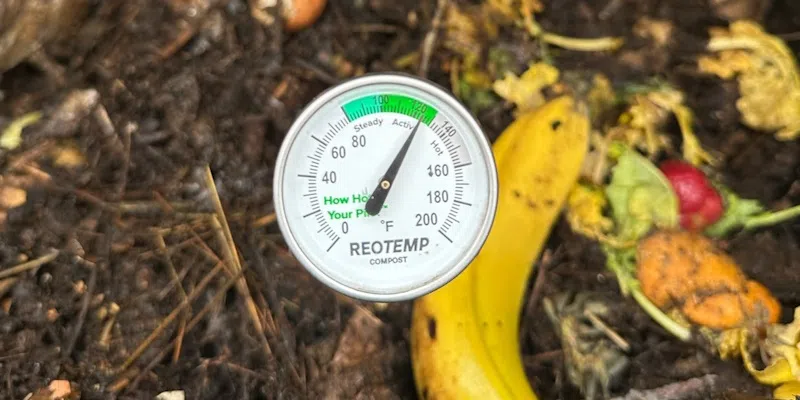 Bauline Taking Pro-Active Approach to Environmental Responsibility