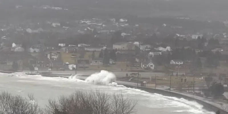 Carbonear Cleans Up After Storm Tosses Debris Across Beach Road