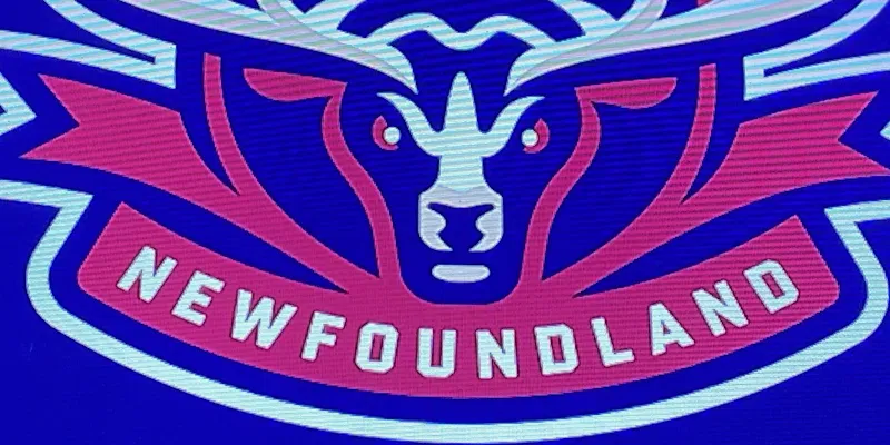 Newfoundland Regiment's First Home Game Scheduled for September