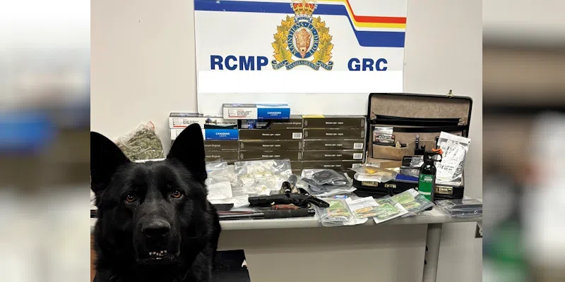 Stephenville Home Raid Yields Drugs, Cash, and Weapons; Two Men Arrested