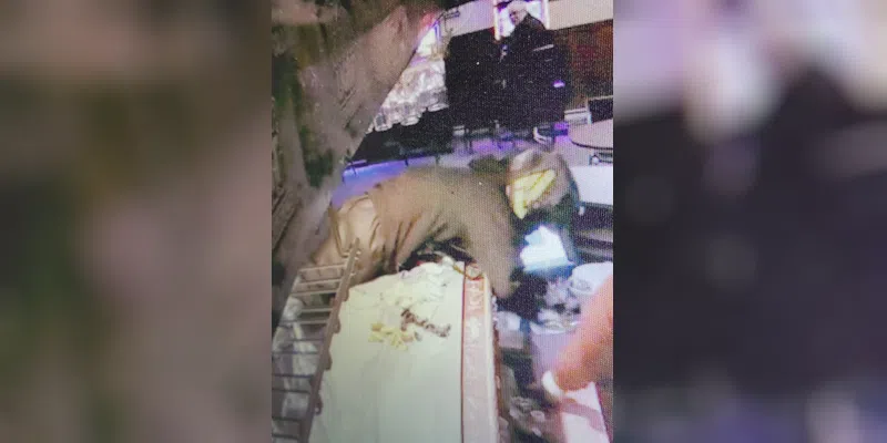 RCMP Searching for Suspect in Happy Valley-Goose Bay Robbery
