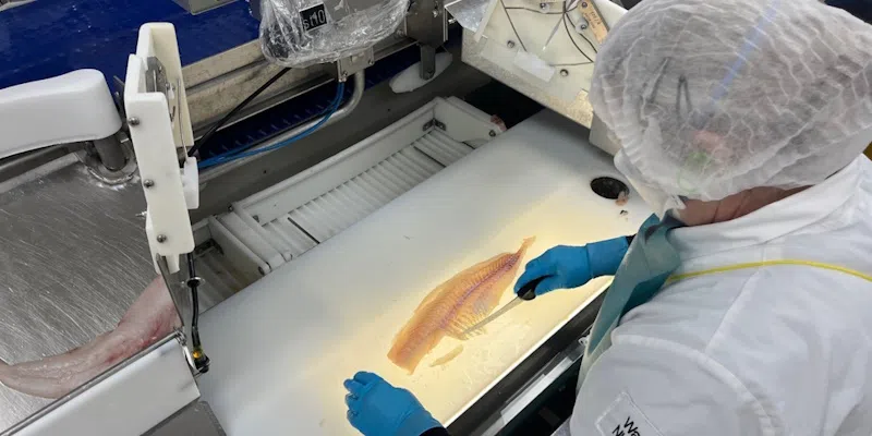 Icewater Seafoods Hoping to Get Processed Northern Cod to U.S. Before Tariffs Hit