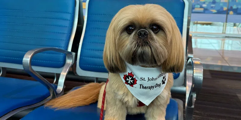 St. John Ambulance Expands Therapy Dog Program to YYT
