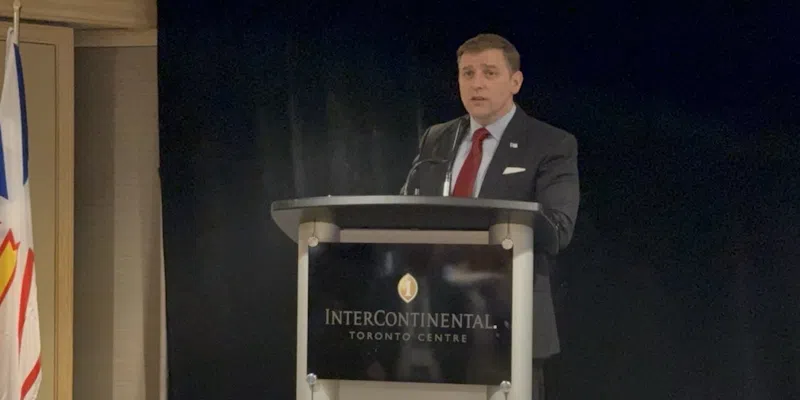 Furey Discusses Potential Nickel Impact at Toronto Mining Conference