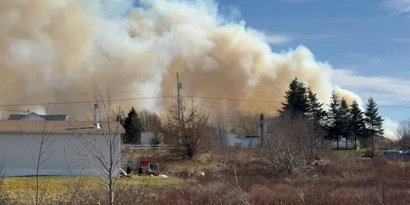 UPDATE: Adam's Cove Wildfire Under Control, According to Town