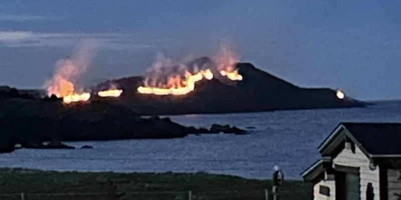 Adam's Cove/Western Bay Residents Ordered to Evacuate Due to Wildfire