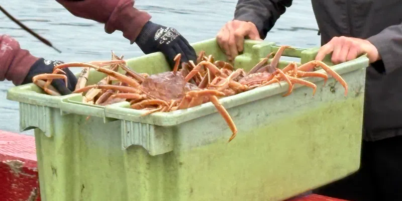 Labrador Fish Processor Denies Allegations of Blocking Harvesters from Selling in Maritimes