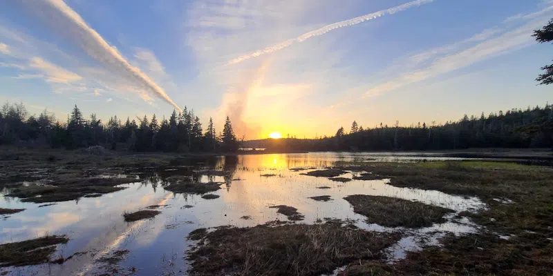 Victoria Day Weekend Delivers Rare Calm Weather for Most of Province