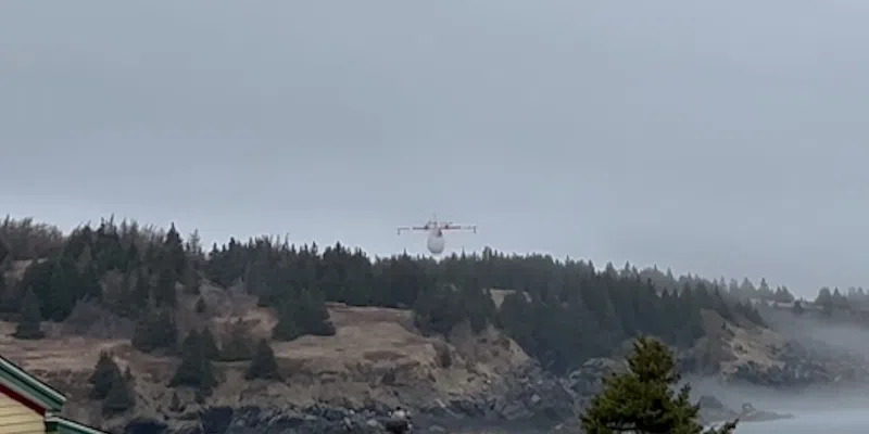 Woman Recounts Harrowing Escape from Adam's Cove Fire