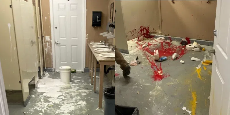 Town of Harbour Grace Installing Cameras Following Increase in Vandalism