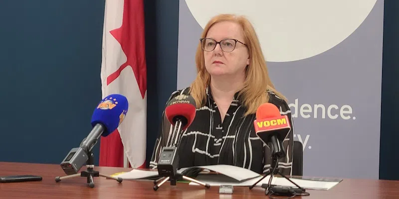 25 Per Cent of Performance Audit Recommendations Between 2018 - 2022 Not Implemented: Auditor General