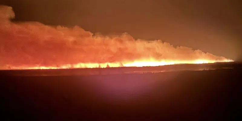 Evacuation Alert Issued for Musgrave Harbour Due to Wildfire