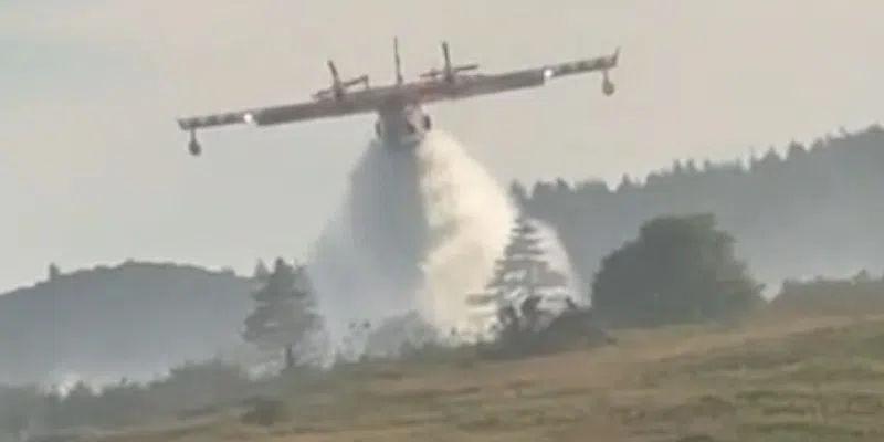 Road Reopens to Local Traffic After Forest Fire Near Small Point