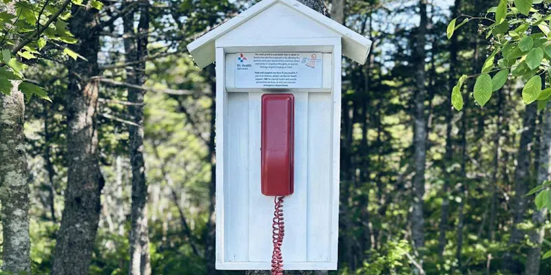 Marystown Walk of Hope Trail Now Home to ‘Wind Phone’ Memorial
