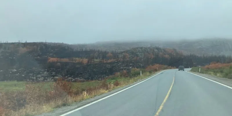 Wildfire on Conception Bay North Shore Finally Under Control