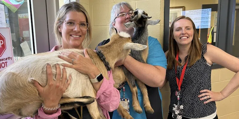 Friendship, Fellowship and Goat Therapy For Evacuees at Carbonear Academy