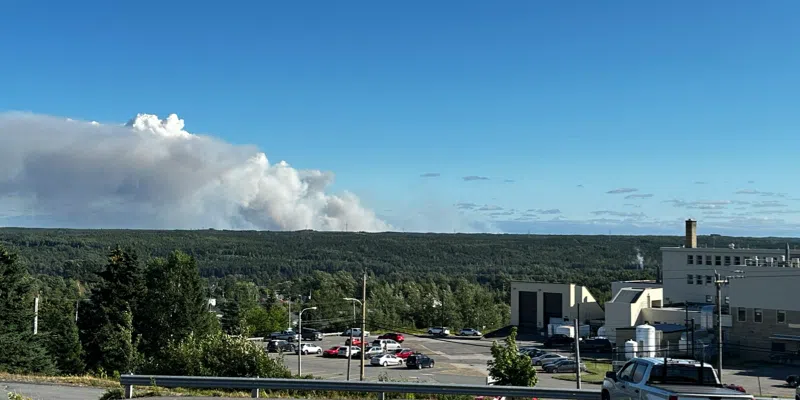 Fire Break Cut Back in 2022 Helping Contain Current Martin Lake Blaze