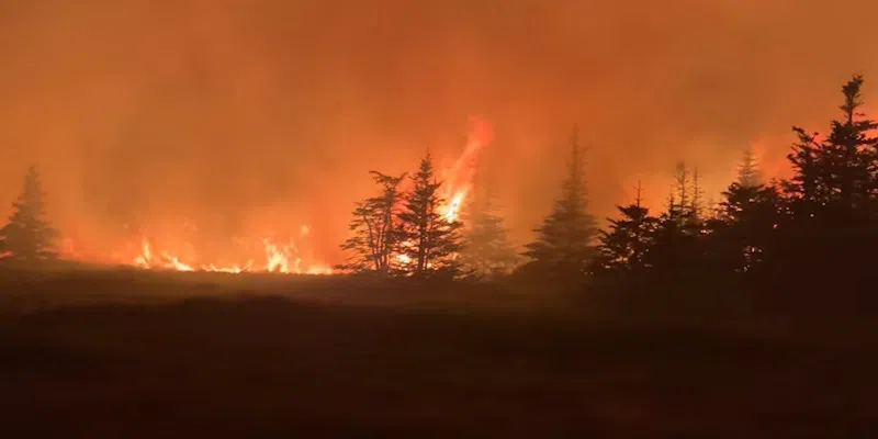 Evacuation Alert Issued for Job's Cove Due to Kingston Wildfire