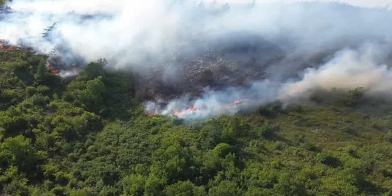 Canadian Armed Forces Doubling Firefighting Complement for NL