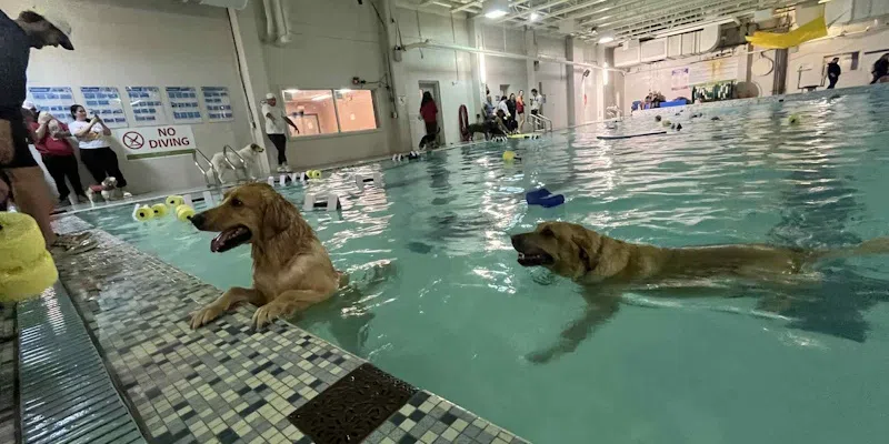 City Hosts Pool Paw-ty Swim to Close Out Old Mews Centre