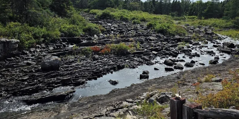 August 26, 2025 - Are drought conditions a concern in your area?