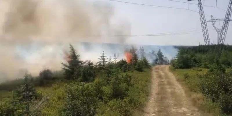 RNC Investigating Paddy's Pond Fire